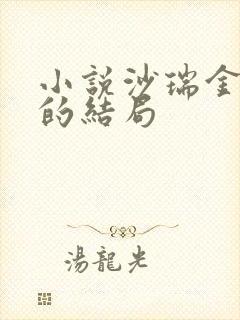 小说沙瑞金最后的结局