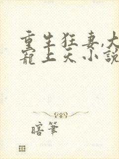 重生狂妻,大佬宠上天小说