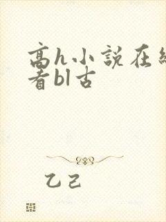 高h小说在线观看bl古
