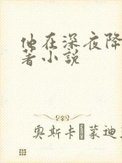 他在深夜降临原著小说