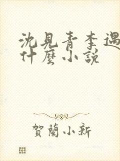 沈见青李遇泽是什么小说