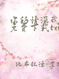 你的情深我不配免费下载txt