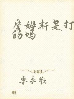 詹姆斯是打篮球的吗