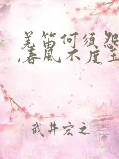 羌笛何须怨杨柳,春风不度玉门关修辞手法