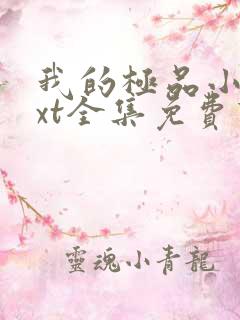 我的极品小姨txt全集免费下载