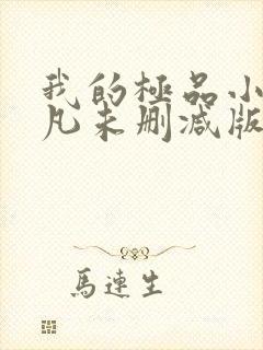 我的极品小姨叶凡未删减版