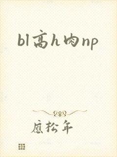 bl高h肉np
