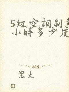 5级空调制热一小时多少度电