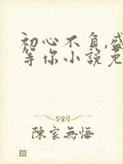 初心不负,盛夏等你小说免费阅读