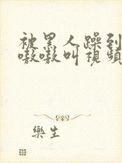 被黑人躁到高潮嗷嗷叫视频