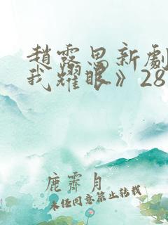 赵露思新剧《许我耀眼》28集