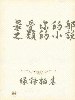 最爱你的那十年之类的小说