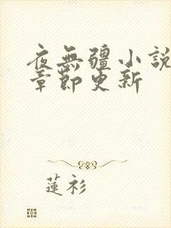 夜无疆小说最新章节更新