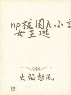 np校园h小说 女主逃