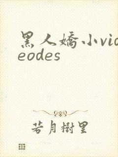 黑人娇小videodes