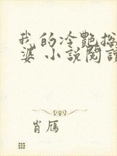 我的冷艳总裁老婆 小说阅读