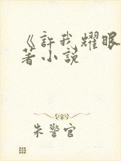 《许我耀眼》原著小说