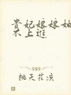 贵妃娘娘她总是不上进