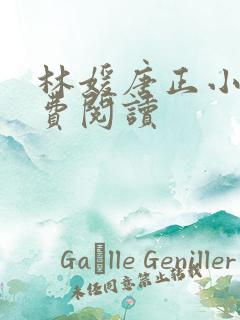 林媛唐正小说免费阅读