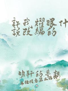 许我耀眼什么小说改编的