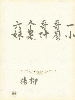 六个哥哥一个妹妹是什么小说