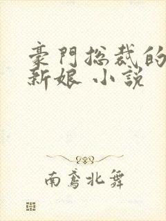 豪门总裁的失心新娘 小说