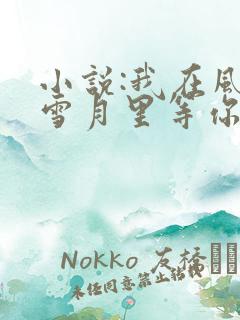 小说:我在风花雪月里等你