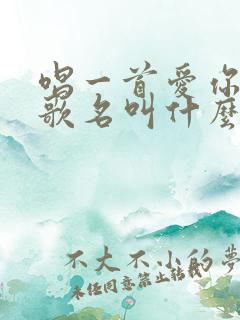 唱一首爱你的歌歌名叫什么