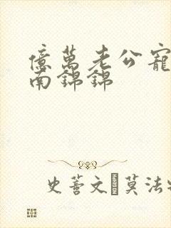 亿万老公宠上瘾南锦锦