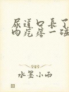 尿道口长了个小肉疙瘩一碰就疼