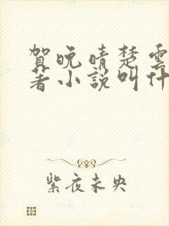 贺晚晴楚云深原著小说叫什么名字