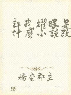 许我耀眼是根据什么小说改编