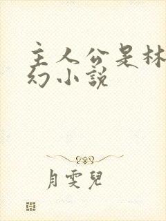 主人公是林天玄幻小说