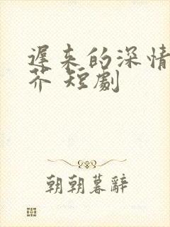 迟来的深情如草芥 短剧