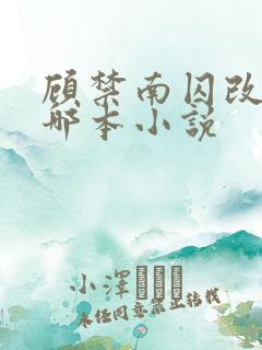 顾禁南囚改编自哪本小说