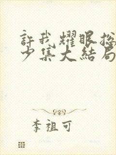 许我耀眼总共多少集大结局