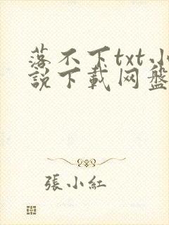 落不下txt小说下载网盘