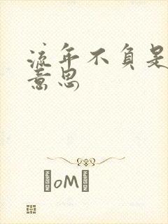 流年不负是什么意思