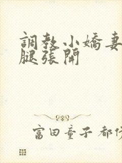 调教小娇妻h把腿张开