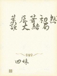 叶辰萧初然 小说 大结局