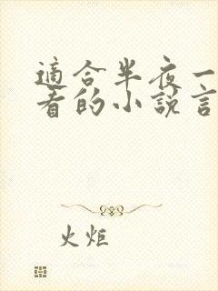 适合半夜一个人看的小说言情