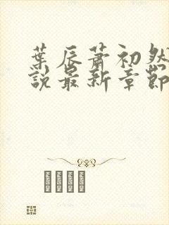 叶辰萧初然的小说最新章节