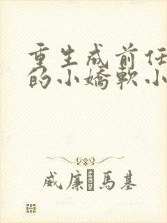 重生成前任叔叔的小娇软小说