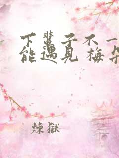 下辈子不一定还能遇见 梅朵