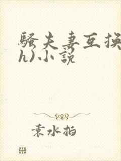 骚夫妻互换(高h)小说