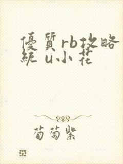 优质rb攻略系统 u小花