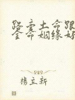 路旁土命跟剑锋金命姻缘好不好