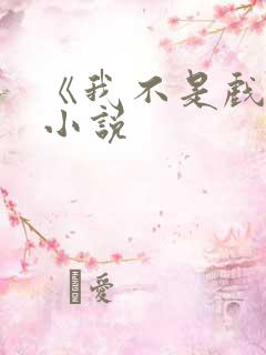 《我不是戏神》小说