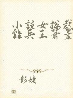 小说女总裁的全能兵王萧晨