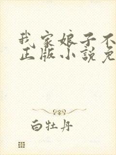 我家娘子不对劲正版小说免费阅读